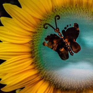 Meet your Posher, Britta